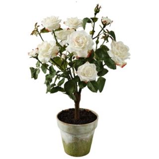 Jane Seymour 27" High Champagne Potted Silk Rose Plant   #W0815