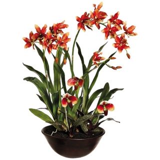 Oncidium and Lady's Slipper Silk Orchid Flowers in Pot   #W7630