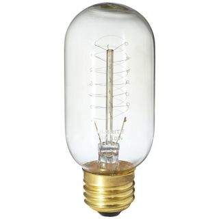 T14 Edison Style 40 Watt Light Bulb   #U5000