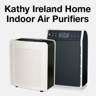 Indoor Air Purifiers and Replacement HEPA Filters 
