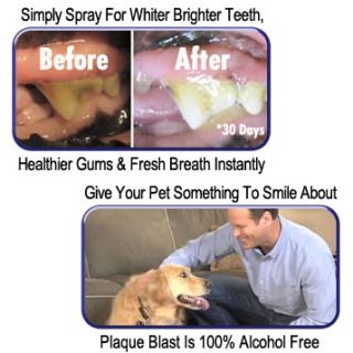 Plaque Blast Oral Pet Spray by Dr George as Seen on TV New