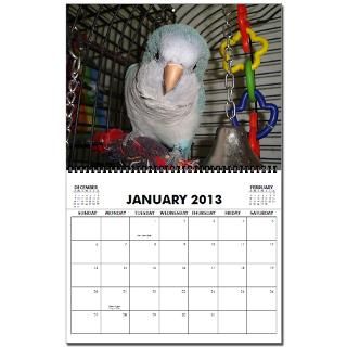 2013 Quaker Parrots Calendar  Buy 2013 Quaker Parrots Calendars