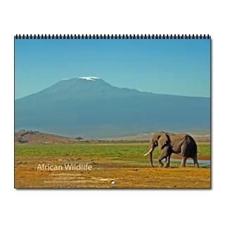2013 African Animals Calendar  Buy 2013 African Animals Calendars