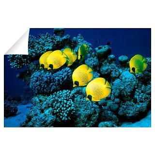 Fish Wall Decals  Fish Wall Stickers