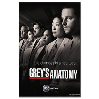 Greys Anatomy 2010 Mini Poster Print