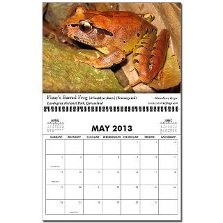 Frogs of Australia 2009 2013 Wall Calendar by savethefrogs