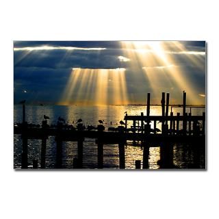 net package of 8 glory in the morning kemah tx on galveston bay $ 7