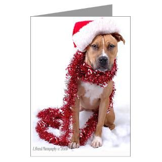 Rescue Pit Bull Christmas Greeting Cards  Greeting Cards (Pk of 10