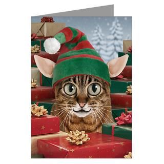 > Cat Greeting Cards > Santas Elf Cat Christmas Cards (Pk of 10
