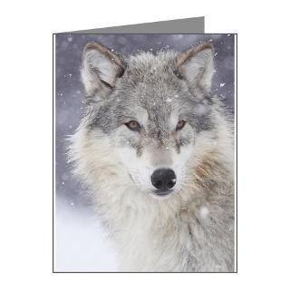 Animal Gifts  Animal Note Cards  Snow Bound Note Cards (Pk of 10)