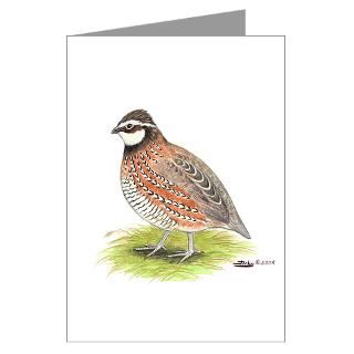  Avian Greeting Cards  Bobwhite Quail Greeting Cards (Pk of 20