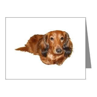 Wildlife Note Cards  Long Hair Red Dachshund Note Cards (Pk of 20