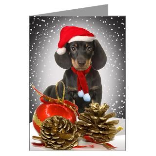 Christmas Greeting Cards  Doxie Christmas Greeting Cards (Pk of 20