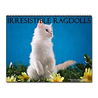 Seal Lynx Bicolor Ragdoll Cat Gifts & Merchandise  Seal Lynx Bicolor