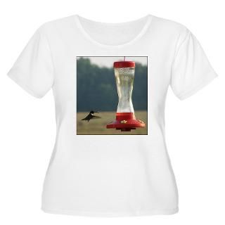 Hummingbird Womens +Size Scoop Neck T Shirt Plus Size T Shirt by
