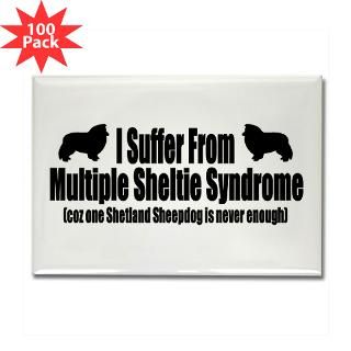 and Entertaining  Shetland Sheepdog Rectangle Magnet (100 pack