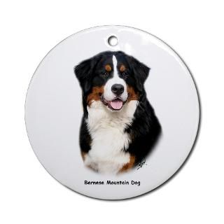Bernese Mountain Dog 9Y348D 115 Ornament (Round) for $12.50