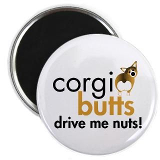 Corgi Butts Drive Me Nuts   Sable  Corgi Butts