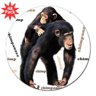 Chimpanzee  Funny Animal T Shirts