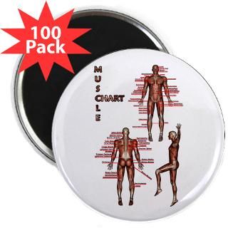 muscle chart magnet $ 3 53 muscle chart 2 25 button 100 pack $ 129 99