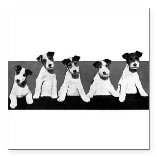 Jack Russell Terriers Square Car Magnet 3
