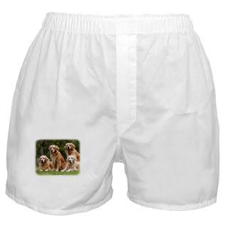 Golden Retriever 9Y180D 149 Boxer Shorts for $16.00