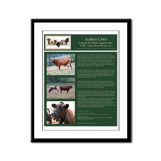 Heritage Cattle Posters  American Livestock Breeds Conservancy Store
