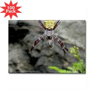 spider eating bee rectangle magnet 100 pack $ 178 19