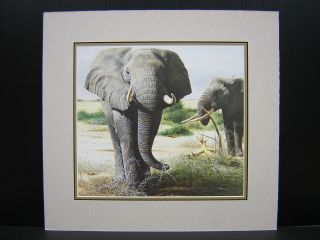Charles Frace Elephants Kilimanjaro Matted Mini Print