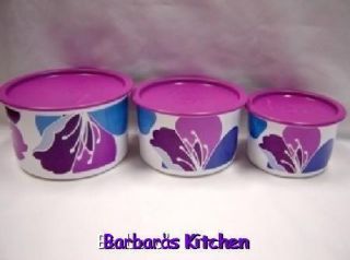 Bright & Happy Spring Blossom Stacking Nesting Snack Canister Set New