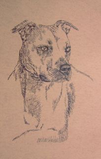 American Pit Bull Terrier Dog Art Kline Print 72 500