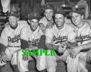 1951GIL Hodges 1951 Brooklyn Dodgers Photo