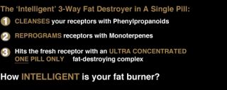 LiPo 6 Black Hers Ultra Concentrate Nutrex Fat Burner