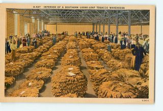 Postcards Interior of A Southern Loose Leaf Tobacco Warehouse