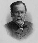 Louis Pasteur discovered that most infectious diseases are caused by