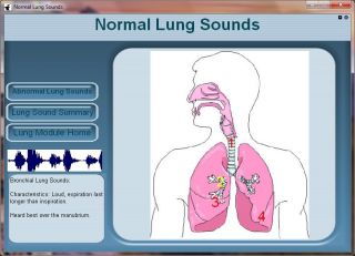 lung sound and a detailed description of the abnormal lung sound and