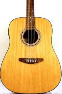 Lyons Acoustic Guitar by Washburn Model LG2TPAK 3948