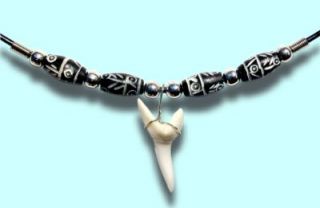 Mako Large Shark Tooth Bone Necklace Maui Hawaii