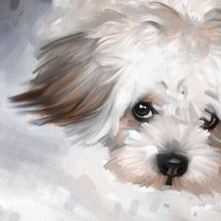 Maltese Dog Pet Portrait Original Art Painting Canvas Giclee Print