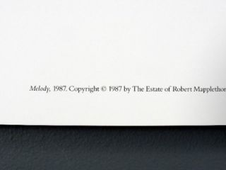 Robert Mapplethorpe, Melody Stiletto Heel, Rare Poster Print 1987