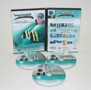 New WYLAND ART STUDIO on DVD 39 EPISODES SERIES 1,2&3 Buy all for a