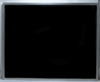 Medion 19 MD30219PH LCD Screen M190EN04 V 1