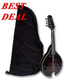 Beautiful Electric Mandolin A Style Heavily Padded Bag