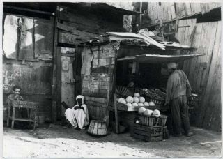 Vint 1950s Tunisia Tunis Melone Seller