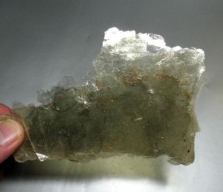Muscovite Mica with Garnet Crystals North Carolina 