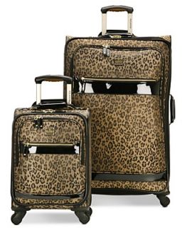 Ricardo Luggage, Savannah Spinners