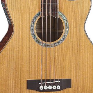New Michael Kelly MKCC5N Club Custom 5 String Acoustic Bass Guitar