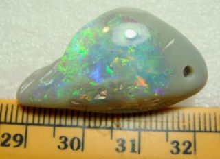 Lightning Ridge Australian Rough Opal Multicolor Polished Specimen