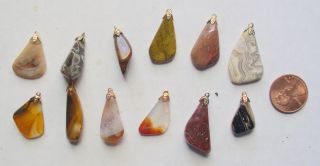 12 Small Polished Rock Pendants Gold Bell Caps Ready for Use Great for