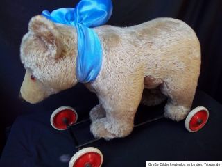Vintage Steiff Teddy Bear on Wheels 1950s Hard Stuffed Riding Bear